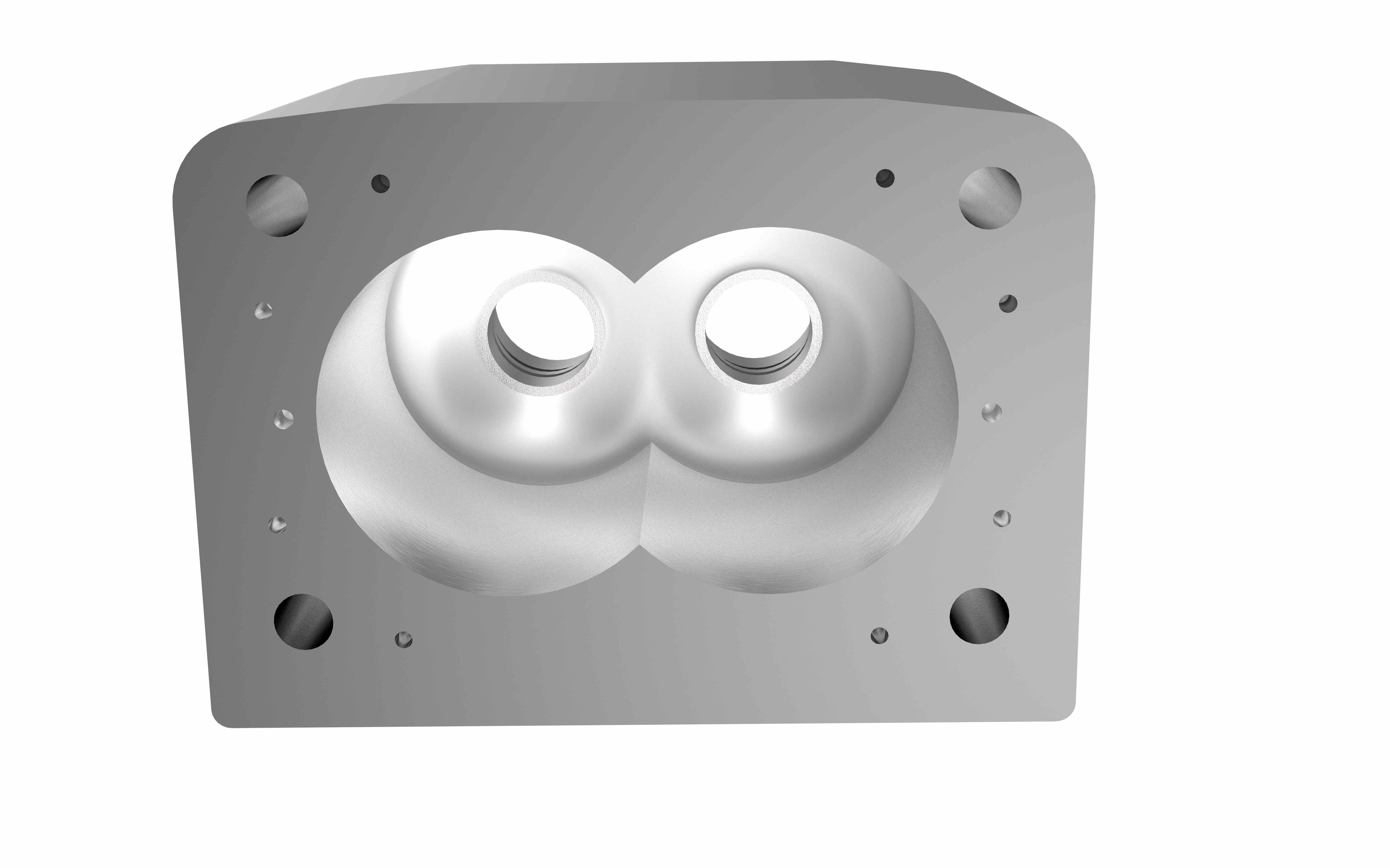 Screw vacuum pump chamber bore