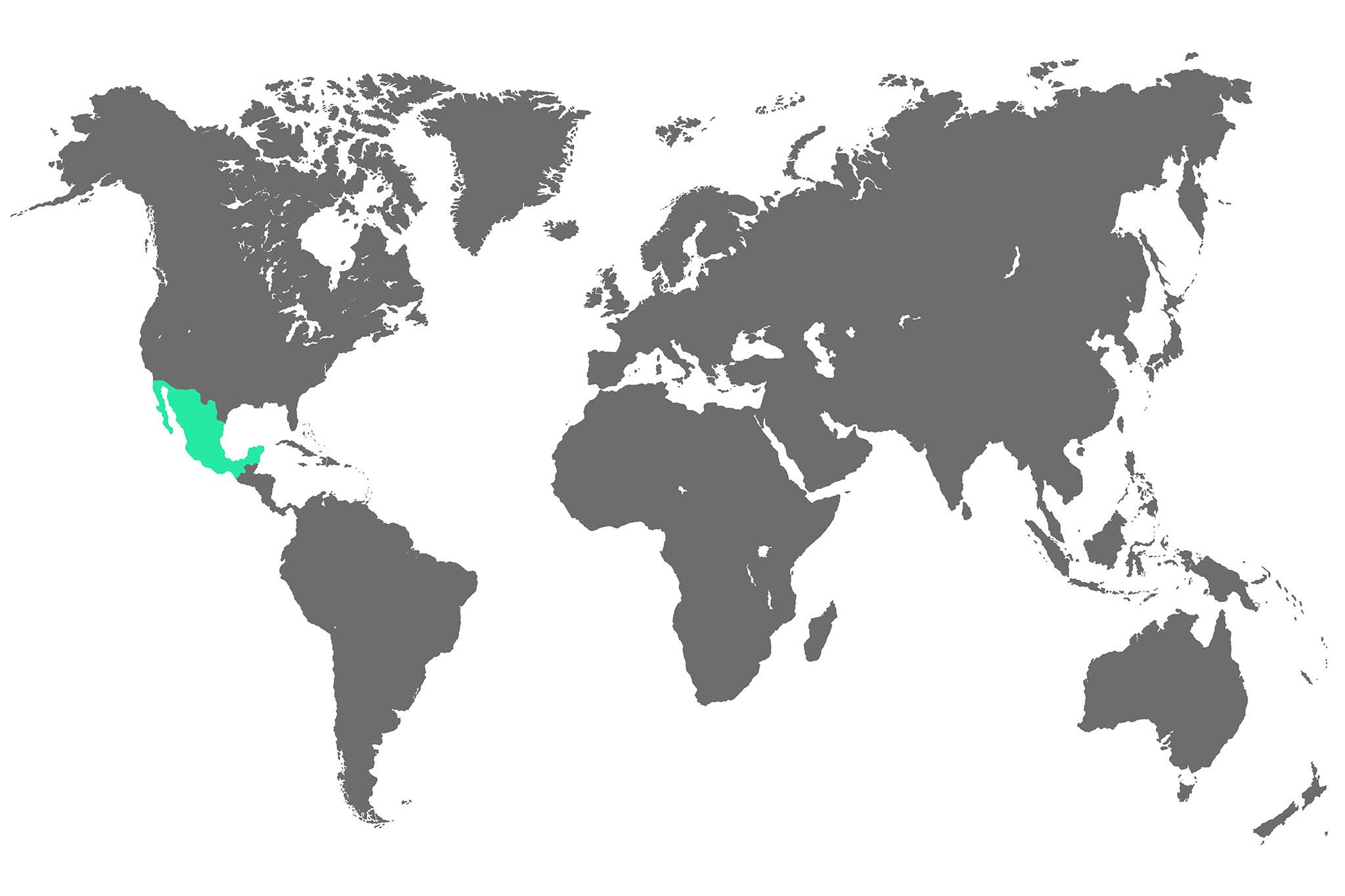 An illustration of the world map with Mexico highlighted in color.