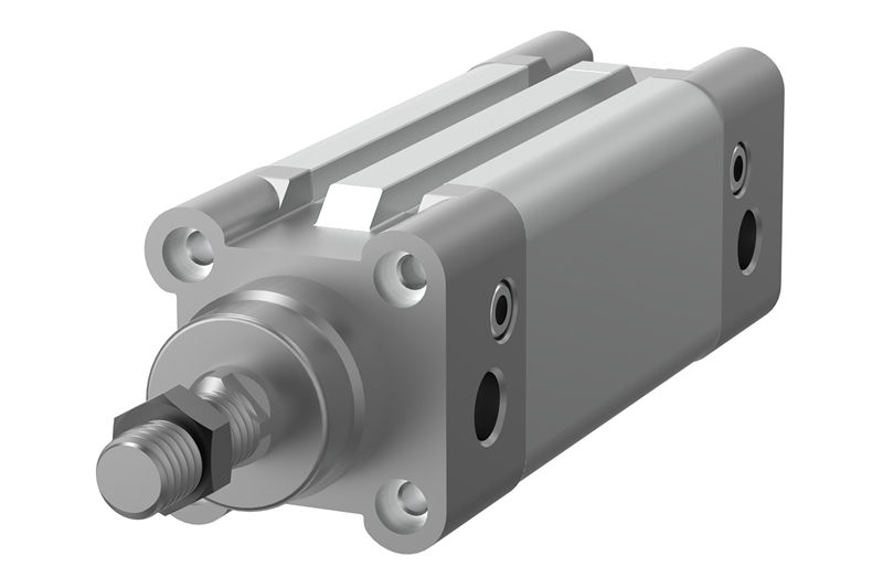 Pneumatic cylinder