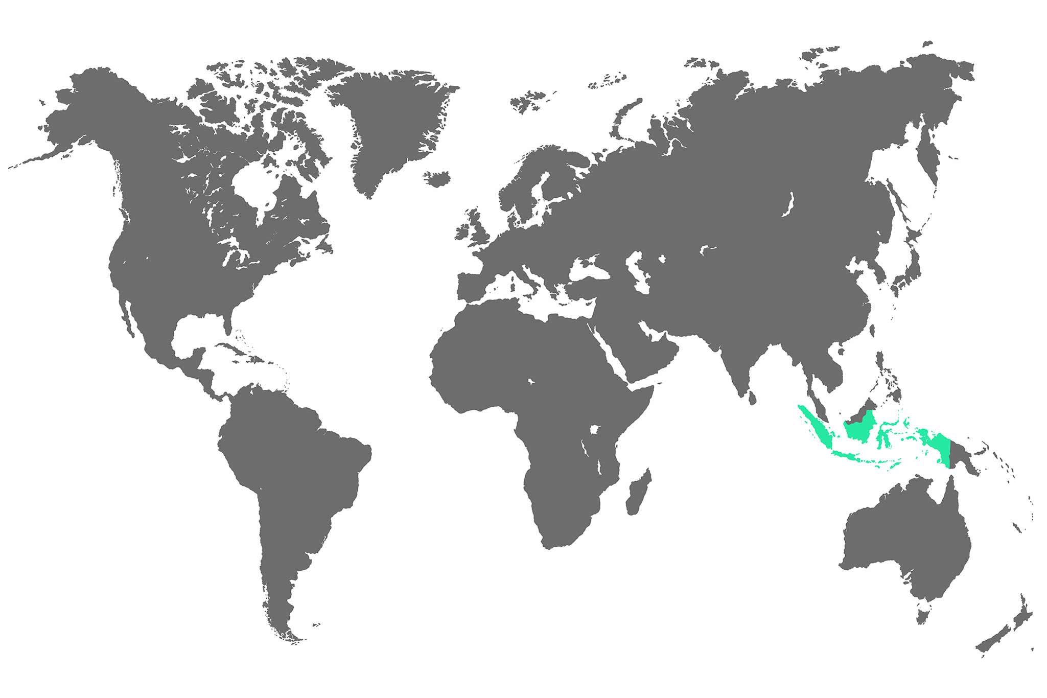 It is an illustration of the world map with Indonesia highlighted in colour.