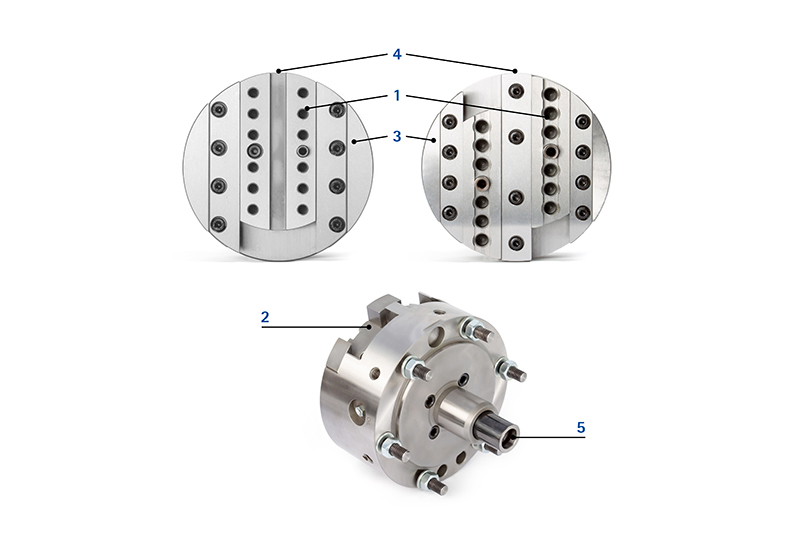 LAT facing heads with feature labelling